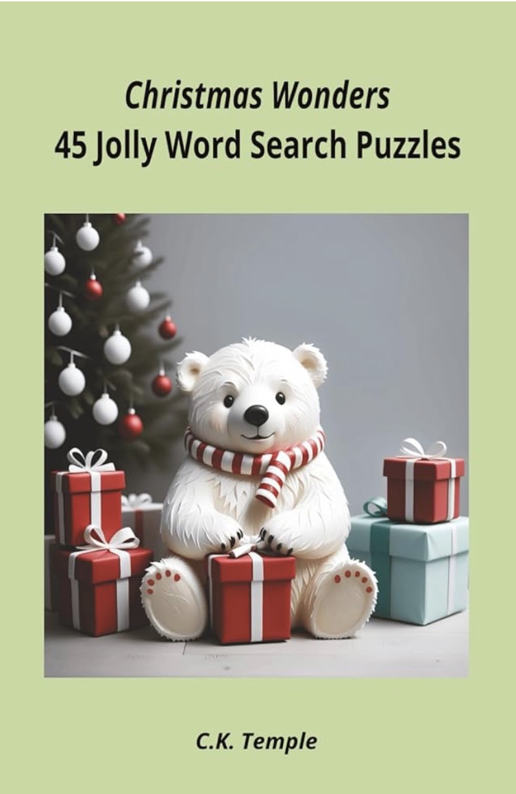 Holiday word search book cover 1
