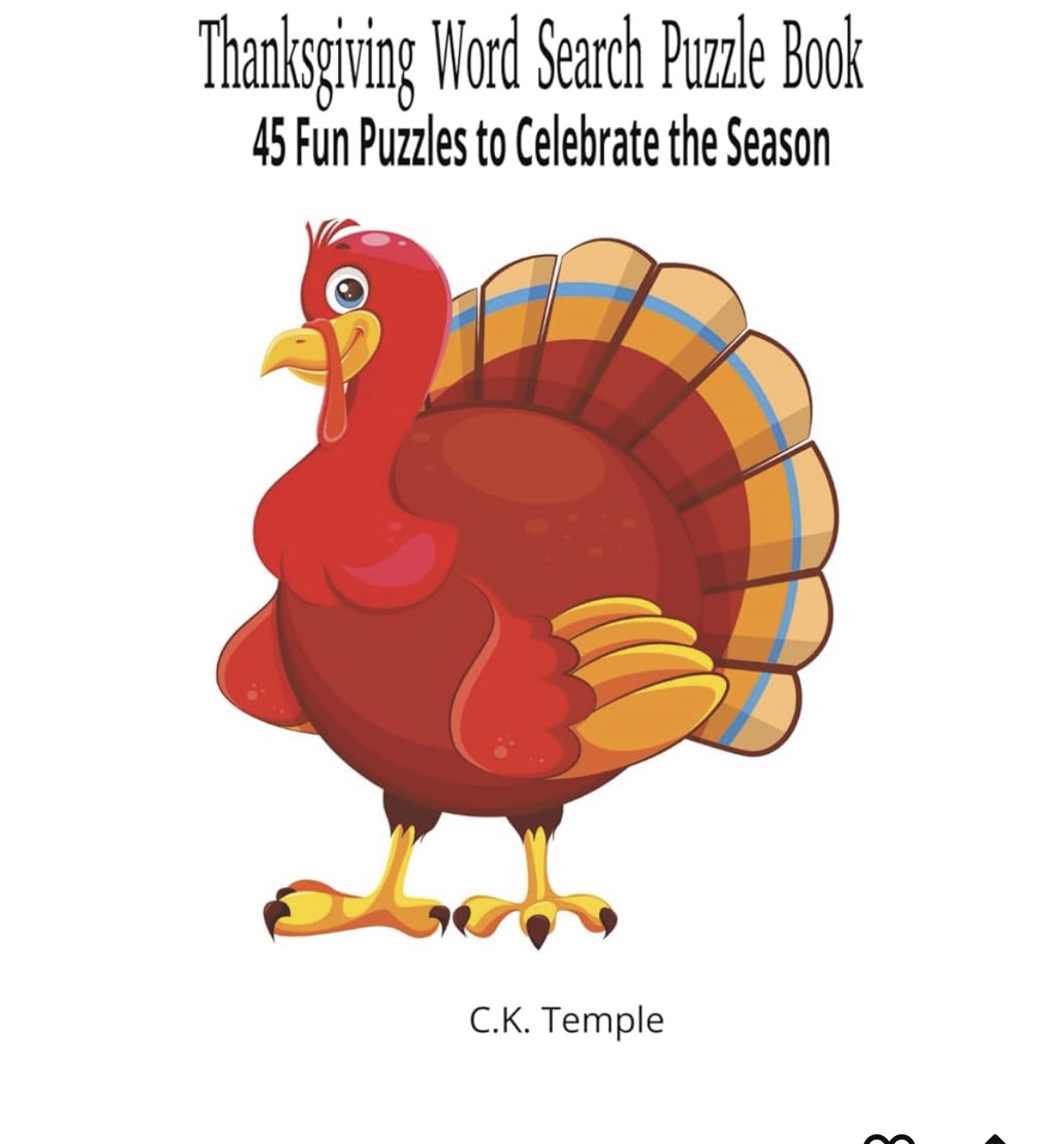 Holiday word search book cover 2
